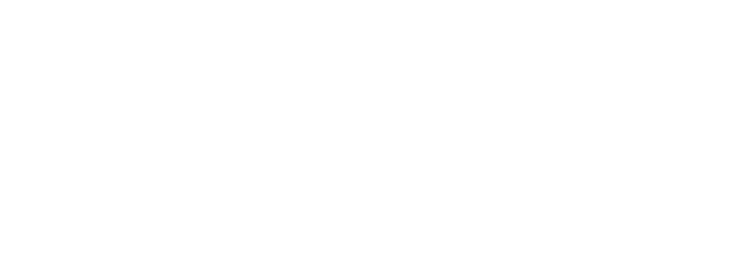 BlckmagicDesign Logo