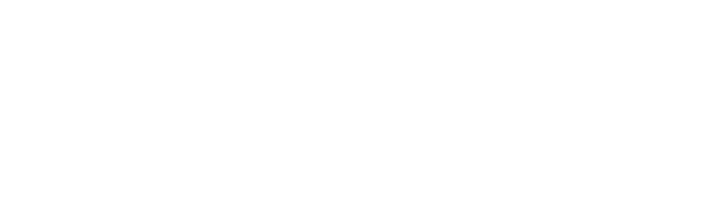 Plug and Play Logo